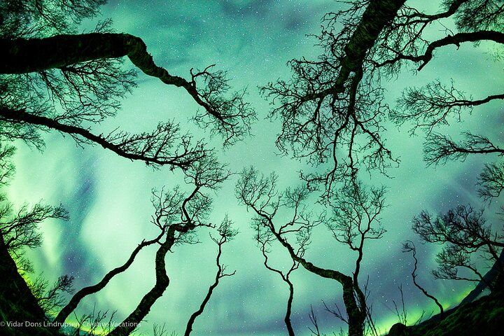 Aurora Adventure Tour with Creative Vacations