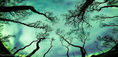 Aurora Adventure Tour with Creative Vacations