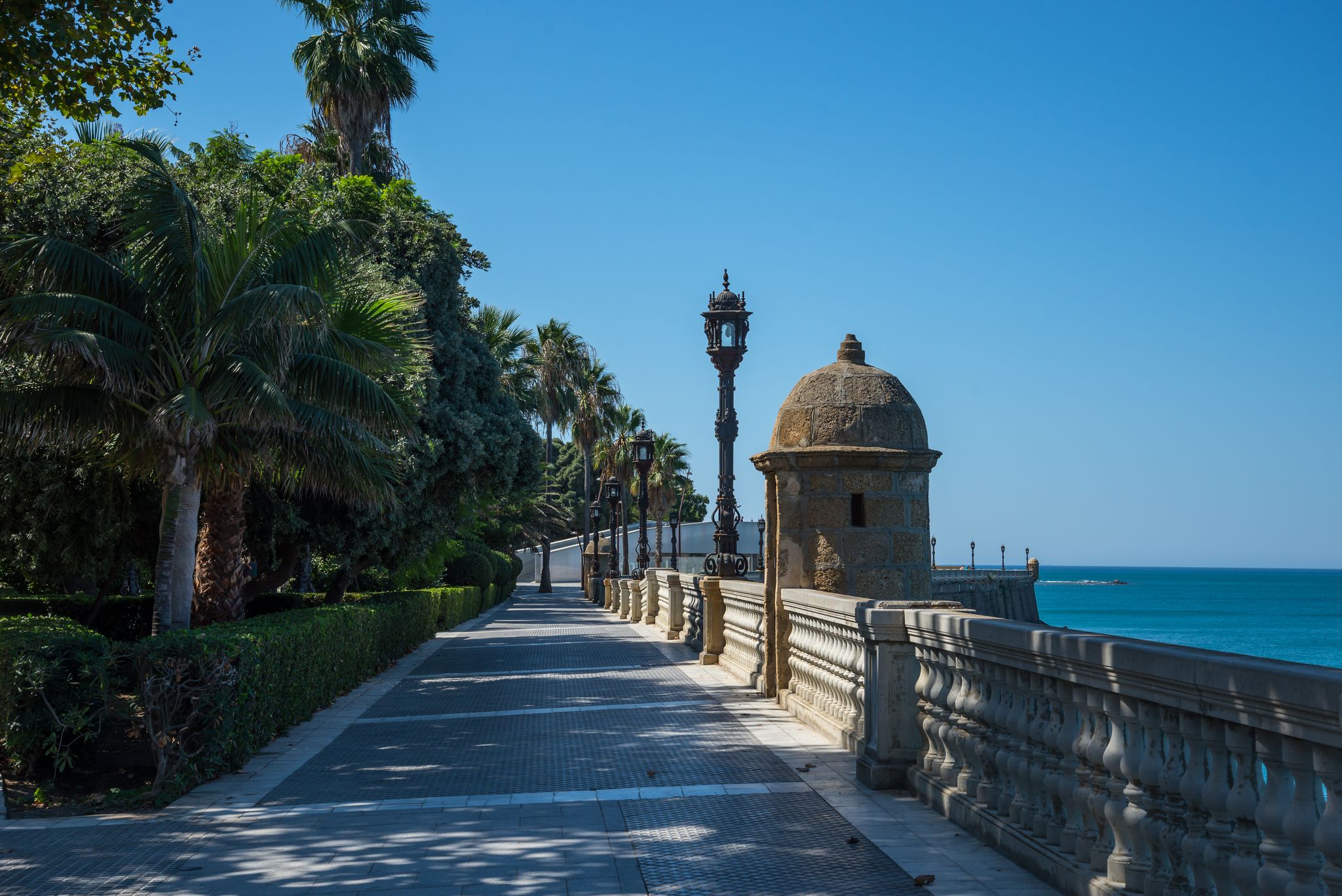 photo of a fantastic park in the old part of the city of Cadiz, called Parque Genoveses. Cadiz. Andalusia, Spain.