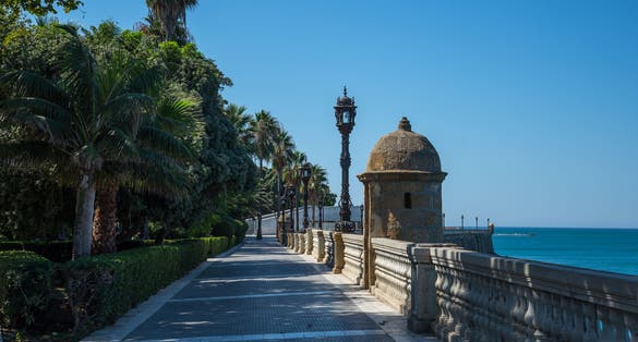 photo of a fantastic park in the old part of the city of Cadiz, called Parque Genoveses. Cadiz. Andalusia, Spain.