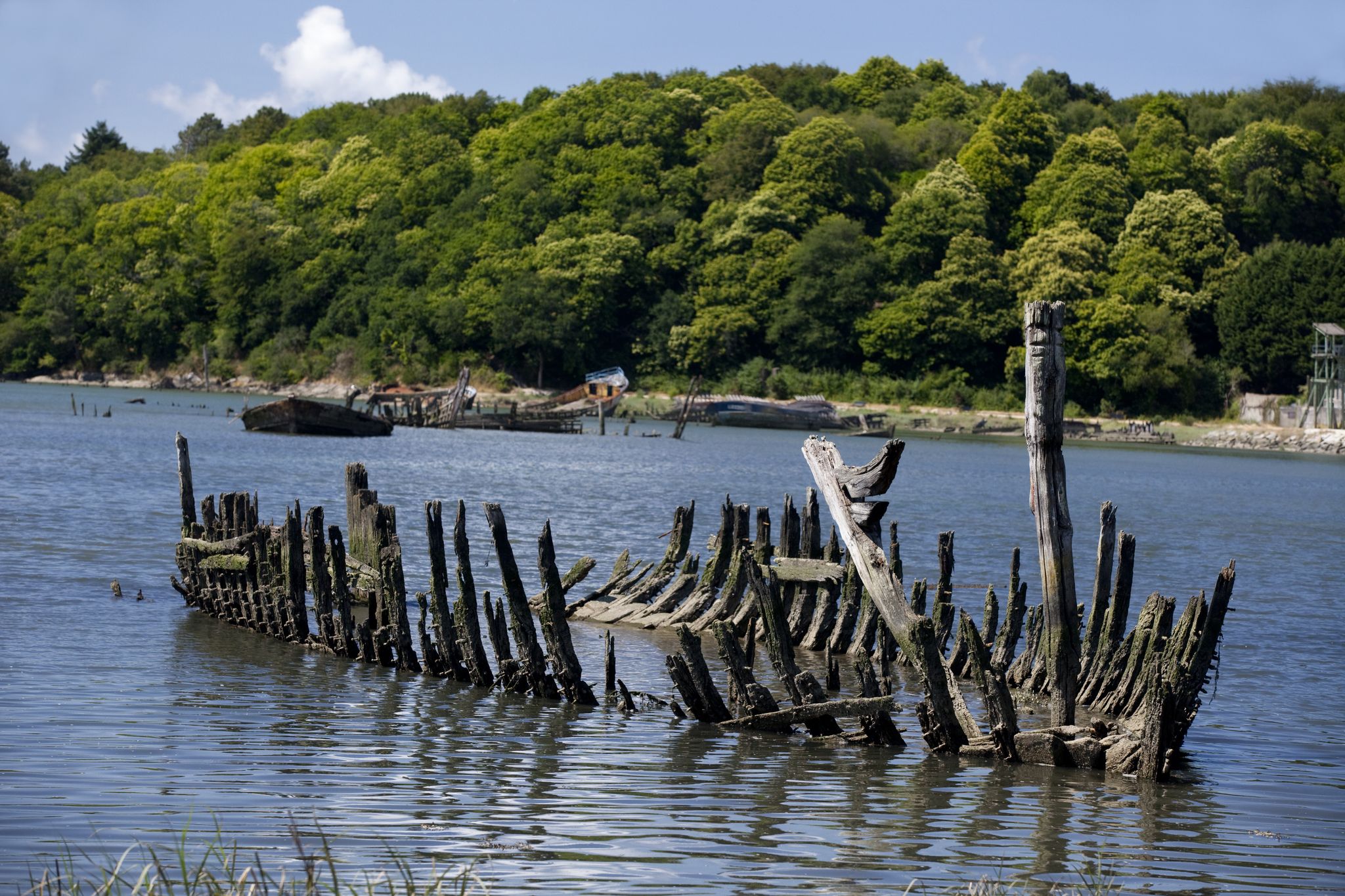 Abandoned boat structure. Flotsam of an old wooden boat abandoned in a ship graveyard. Lorient, Brittany, France.