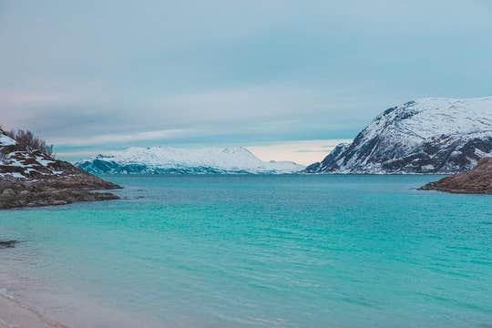 Arctic Fjord Sightseeing mit dem Kleinbus