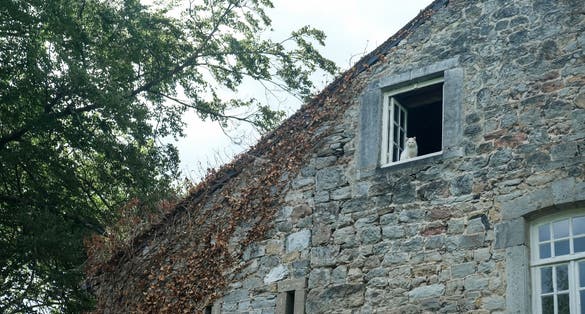 photo of view of Gardens of Annevoie in Belgium.