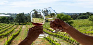 From Albufeira: Half-Day Winery Tour and Silves