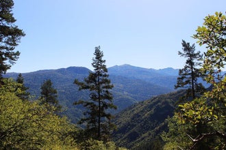 Private day hiking trip to Borjomi National Park with lunch and wine tasting. 