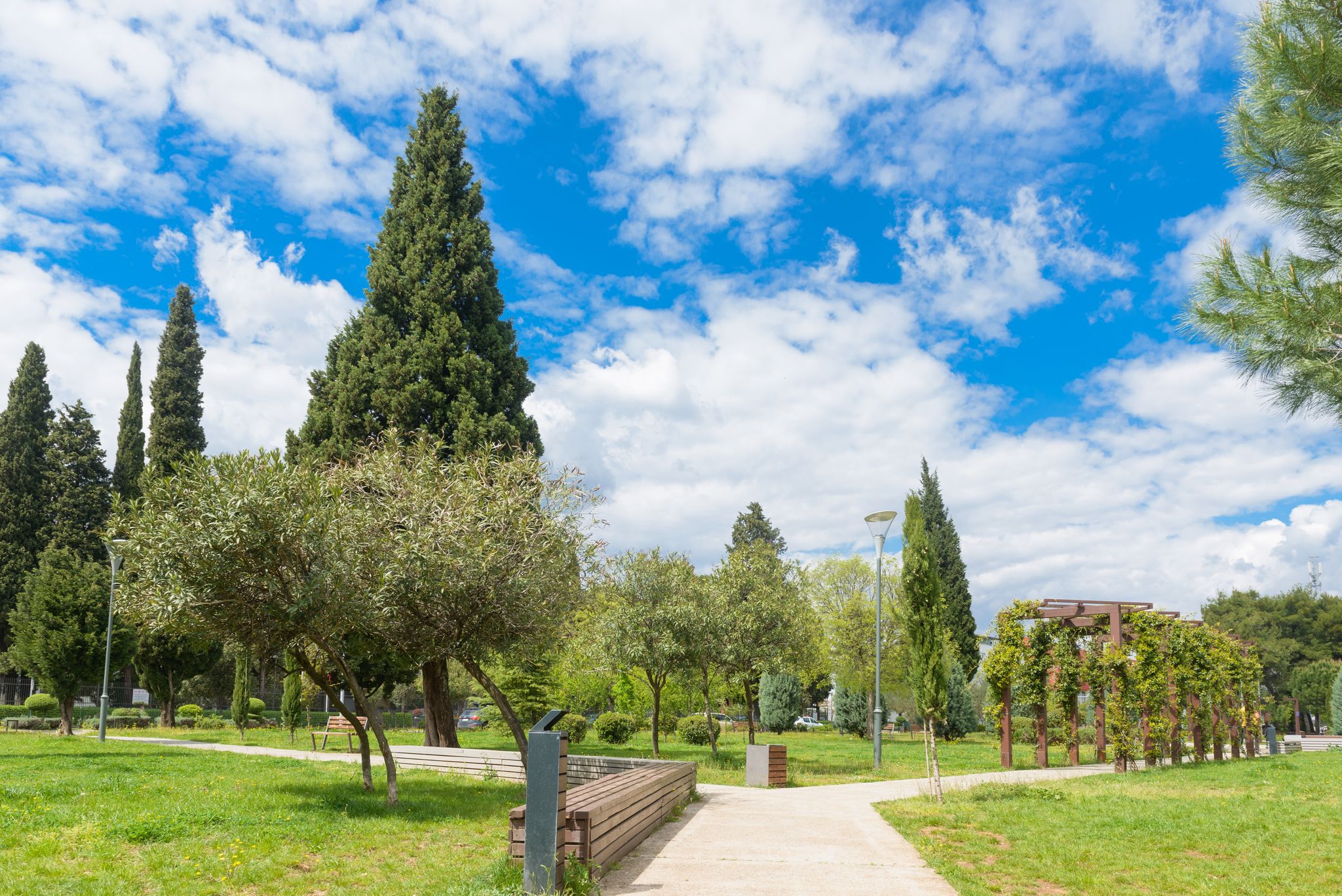 Photo of beautiful park in Podgorica ,capital of Montenegro.