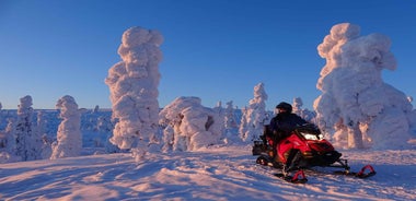Levi: Evening Snowmobile Safari