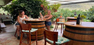Gran Canaria: Best Wineries and Views Tour