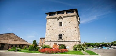 Salt Museum Ticket and Aperitif Tasting at Officine del sale