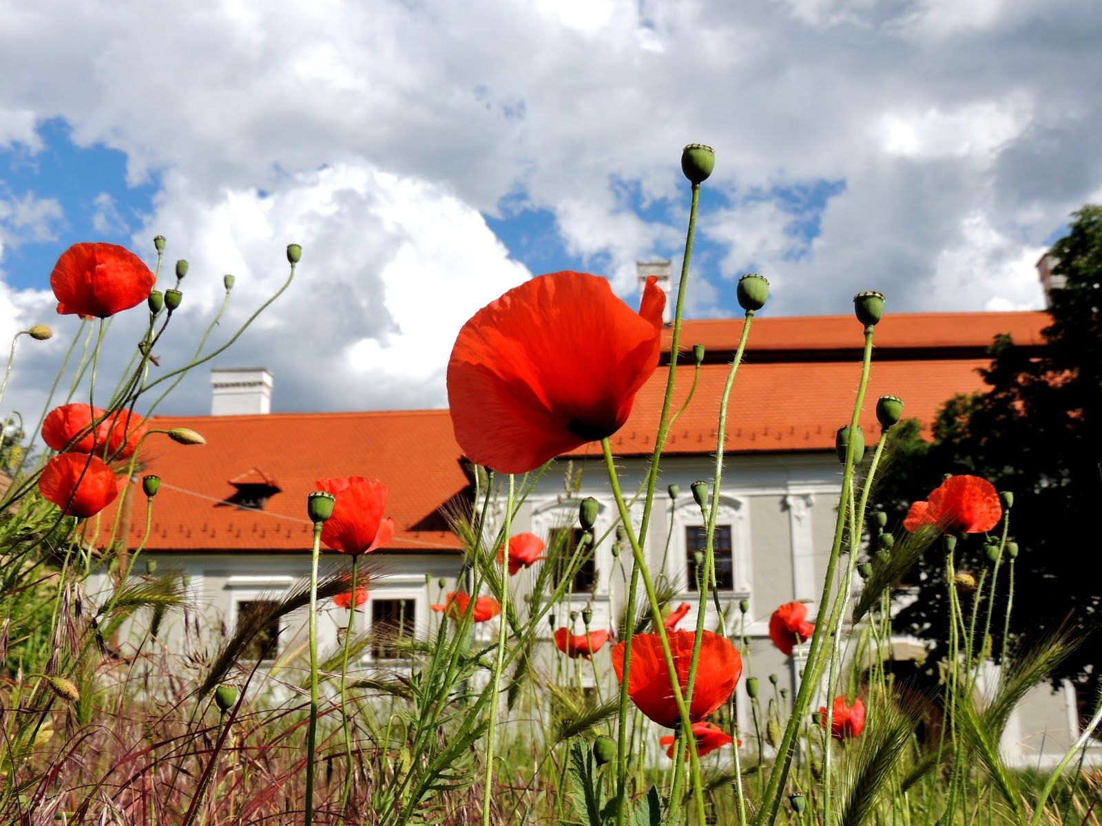 Bishop's Palace, Sümeg, Sümegi járás, Veszprém, Central Transdanubia, Transdanubia, Hungary
