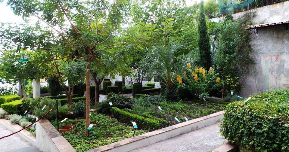 photo of Minerva's Garden .