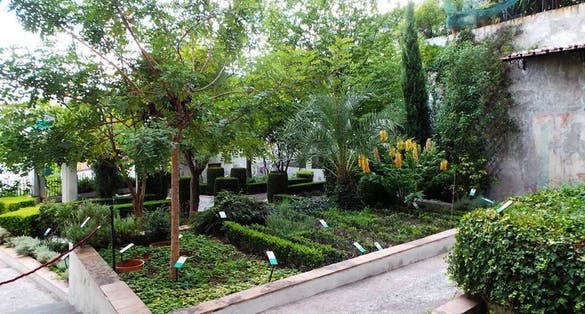photo of Minerva's Garden .
