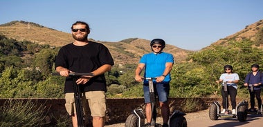 Granada: Albaicin and Sacromonte Segway Tour