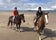ROSSBEIGH Beach Horse Riding Centre, Faha, Glanbehy ED, Kenmare Municipal District, County Kerry, Munster, Ireland
