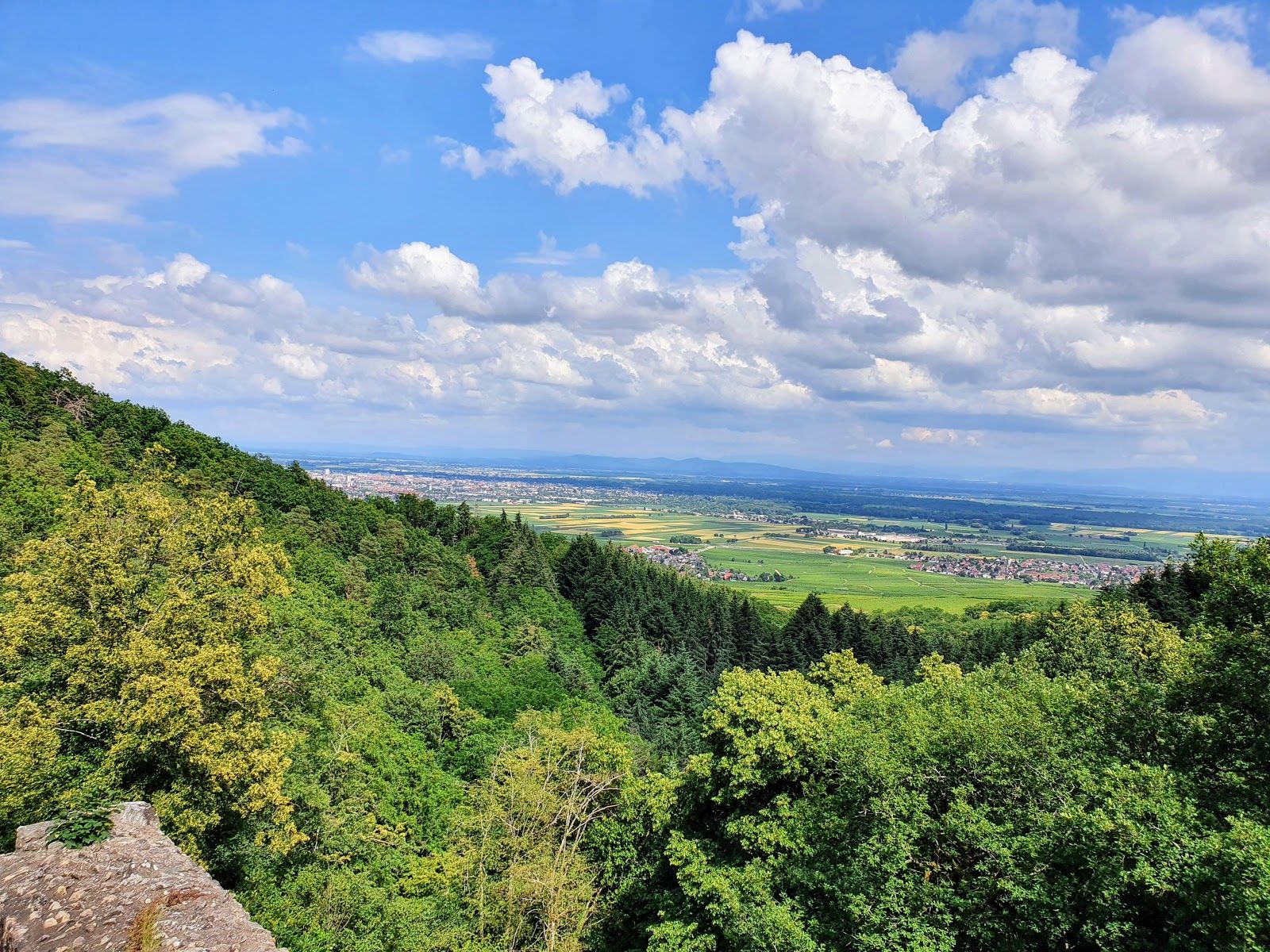 Castle Hagueneck, Wettolsheim, Colmar-Ribeauvillé, Haut-Rhin, Grand Est, Metropolitan France, France