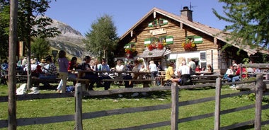 Bavarian Salzburg Alpine Meadows Trail