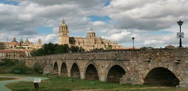 Must see Salamanca Walking Tour (could be billingual)