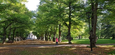 Uppsala County - region in Sweden