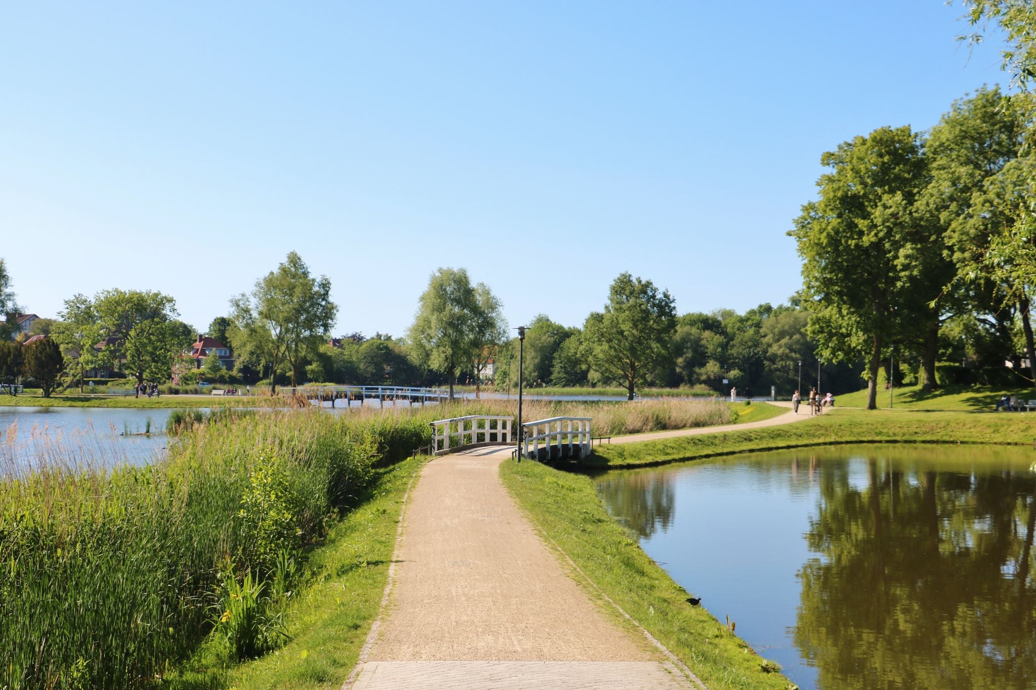 The Cityscape of Stralsund, Germany