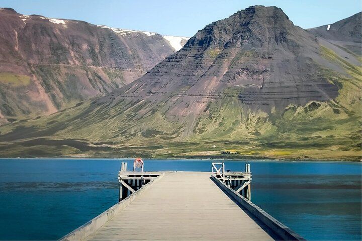 Dynjandi Waterfall, Fishing Village, and Bird Sanctuary 