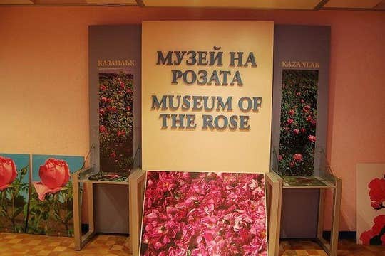 Festival for one day - Rose Festival 2024