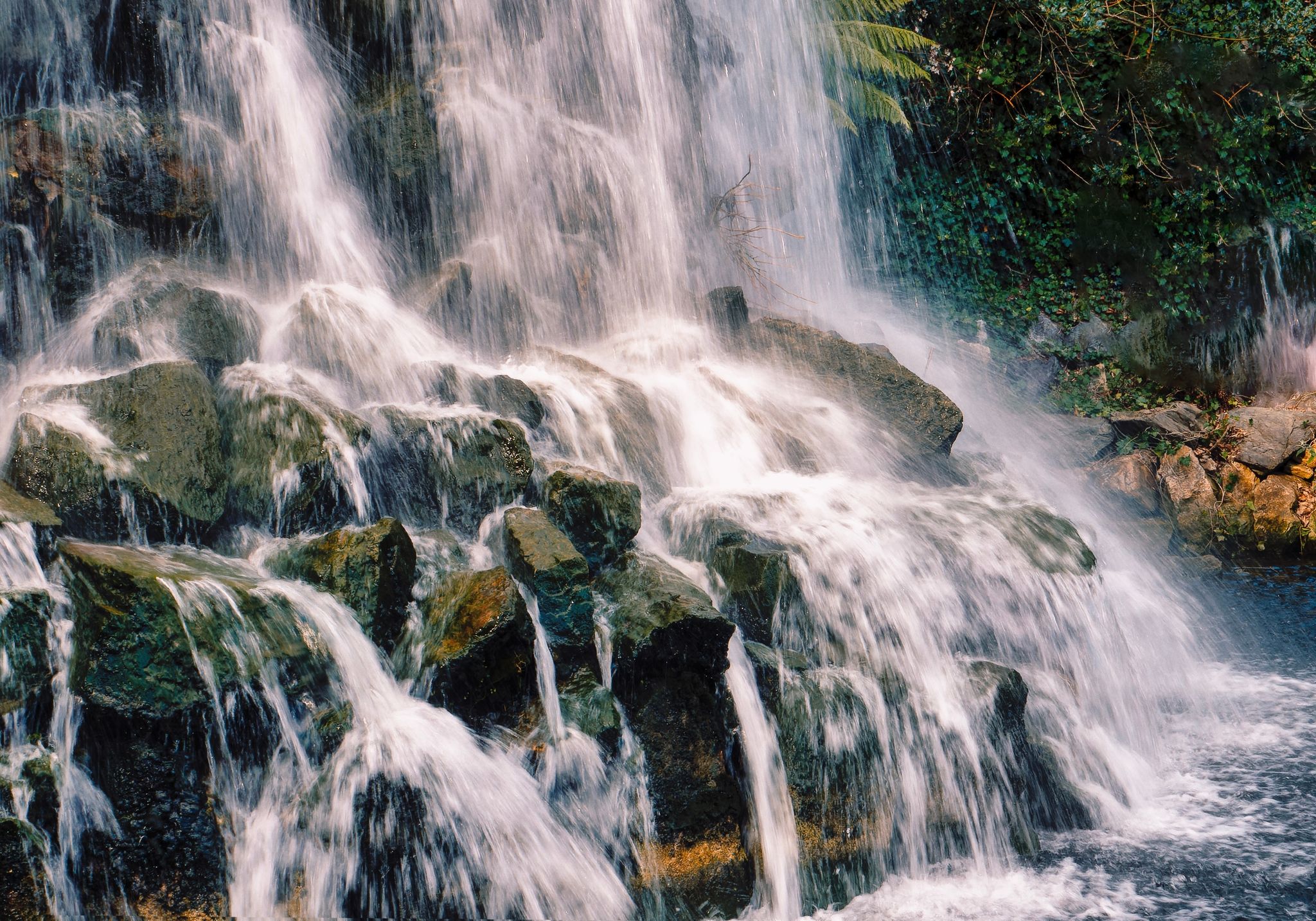 photo of The fountain in Iveagh Gardens Park, Dublin .