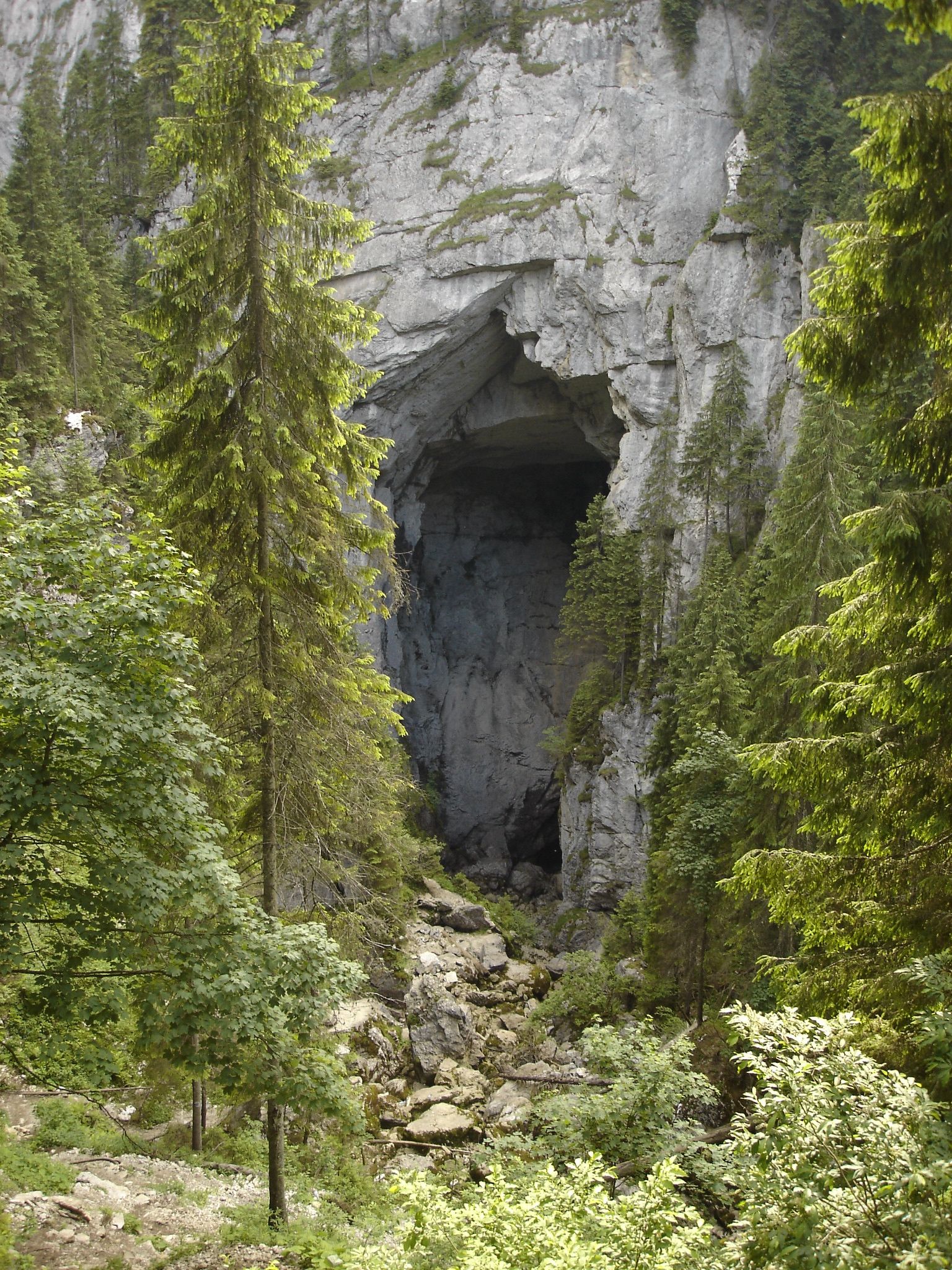 Cetățile Ponorului