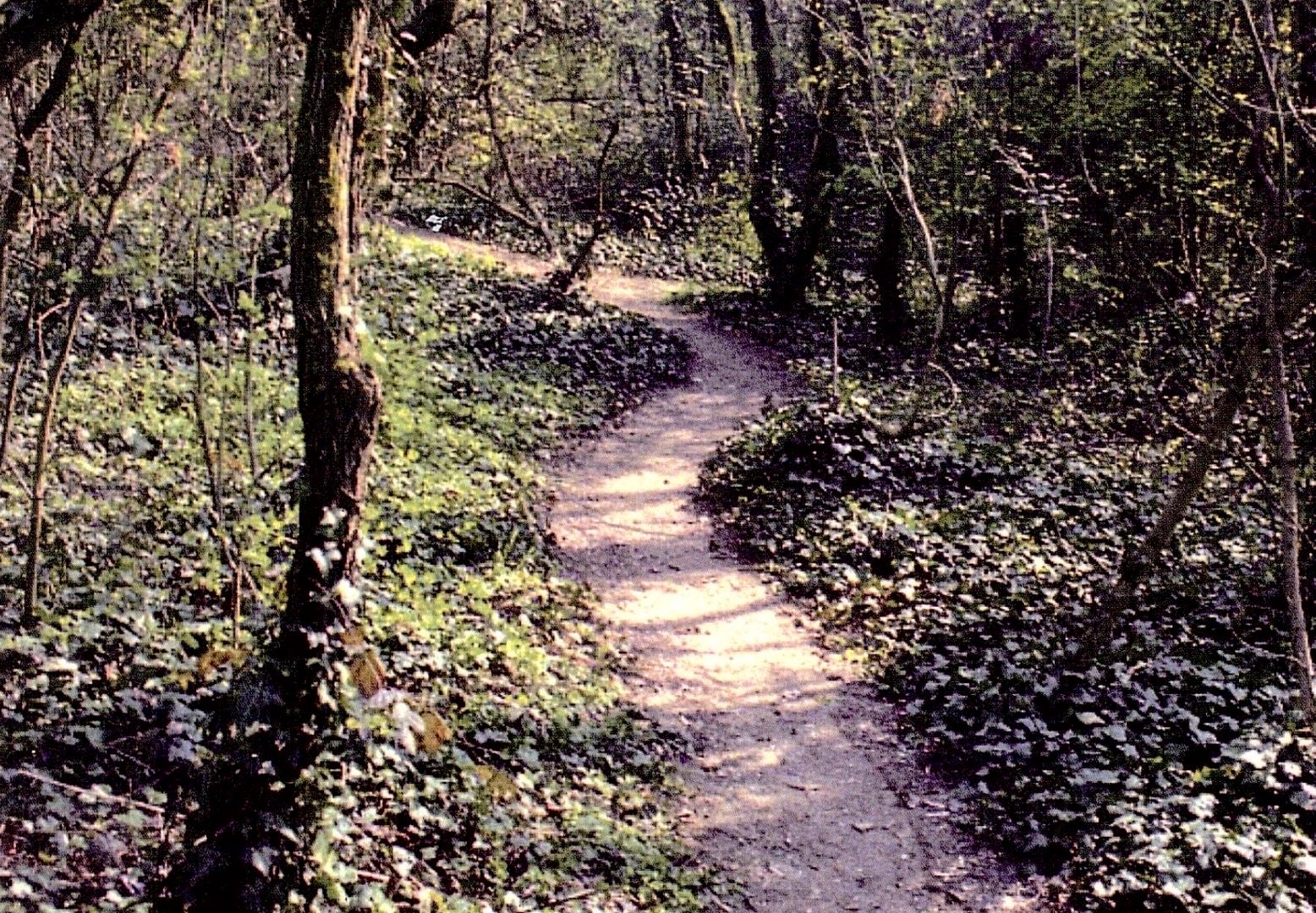 Parco della Galleana, Piacenza, Emilia-Romagna, Italy