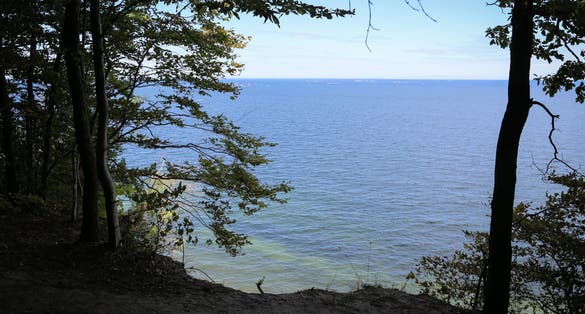 View of the Baltic Sea from the forest on the cliffs near Gdynia in Nature reserve "Kępa Redłowska". View of the beach and pier. We look through the trees.