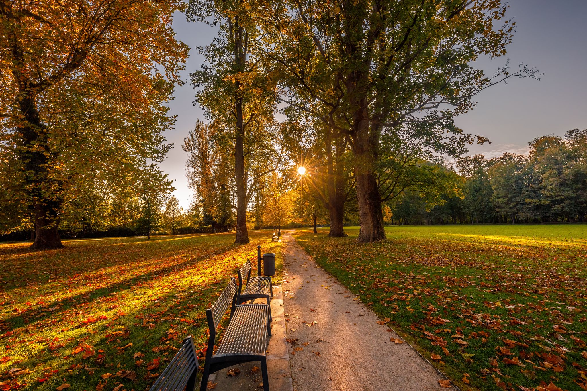 photo of view of Autumn landscape, a park with sidewalk and benches at sunset. Budatin castle park at Zilina town, Slovakia, Europe.