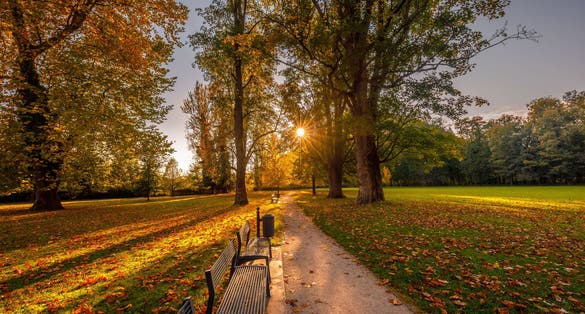 photo of view of Autumn landscape, a park with sidewalk and benches at sunset. Budatin castle park at Zilina town, Slovakia, Europe.