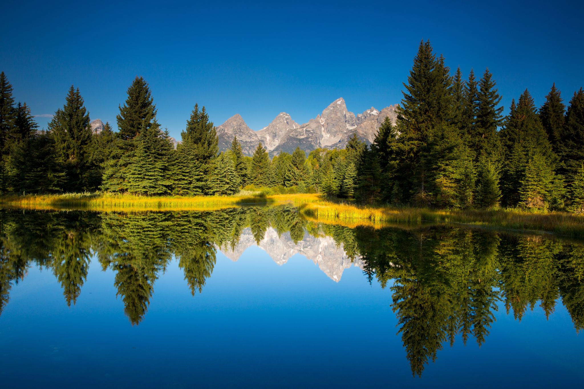 Photo of Reflection of a pond near Schwabachers ,Germany