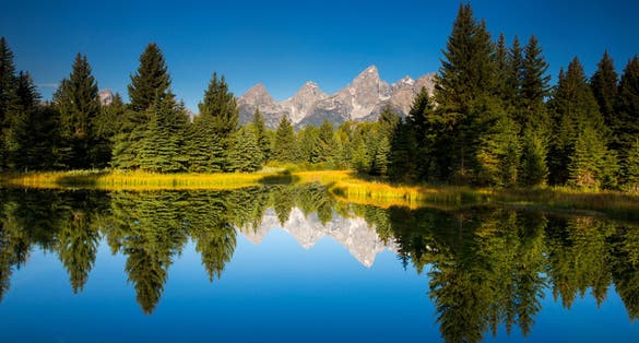 Photo of Reflection of a pond near Schwabachers ,Germany
