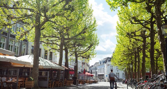 A calm street under the dappled shade of verdant trees with bicycles lined up, and a solitary figure taking a leisurely walk, Maastricht, Holland