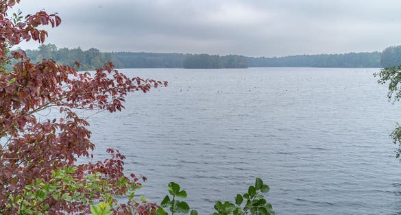 photo of view of  Large inland lake in fall in Bottrop, Germany.