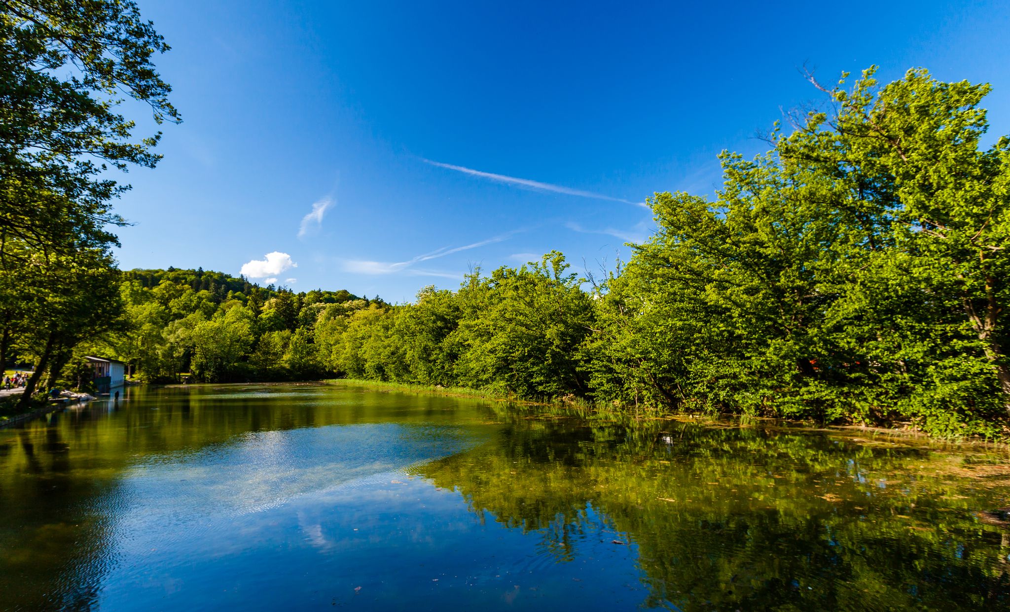 Tivoli Pond in spring. View towards north, with Roznik Hill in the background. Tivoli City Park, Ljubjana, Slovenia.
