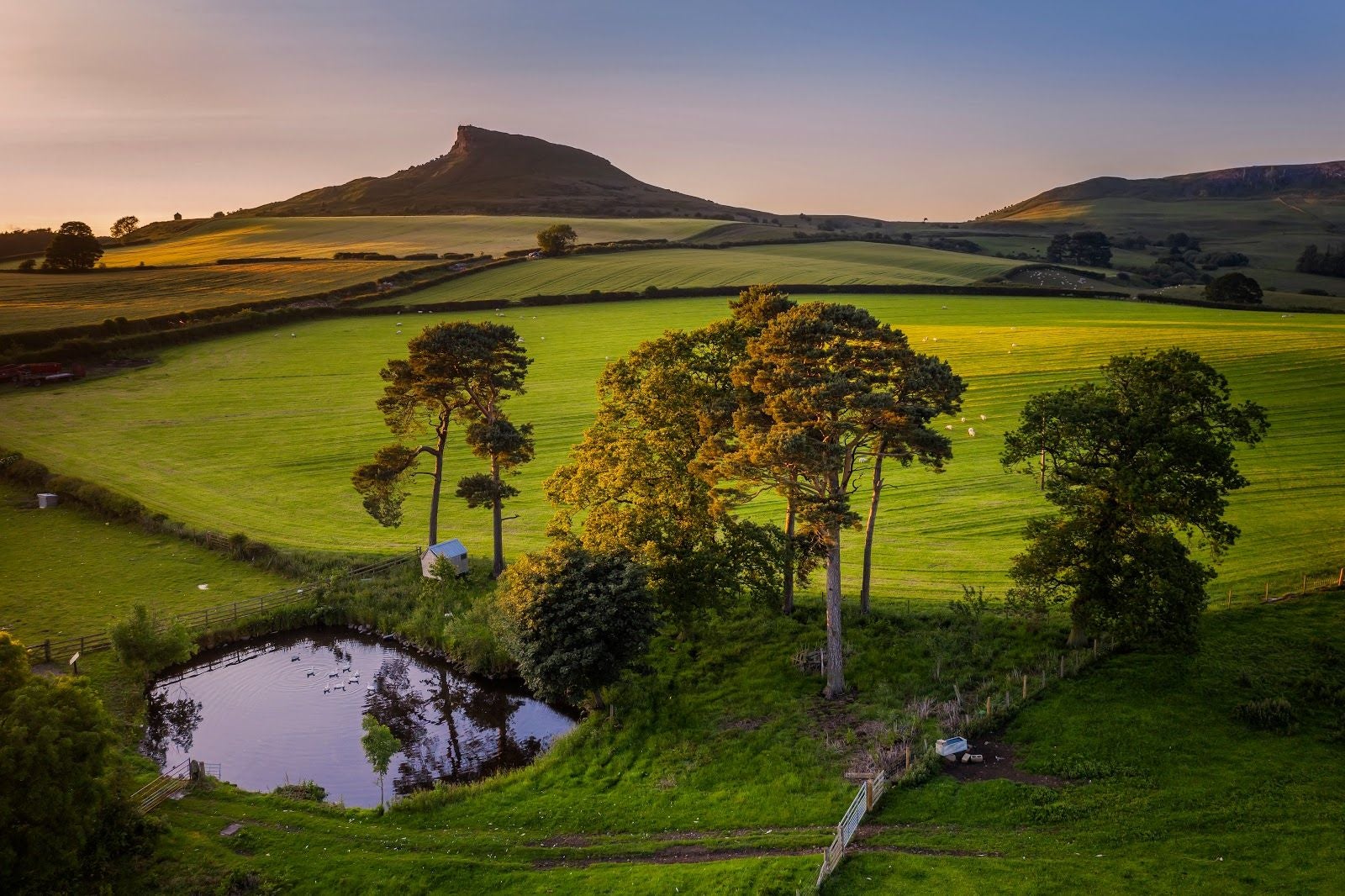 National Trust - Roseberry Topping, Great Ayton, Hambleton, North Yorkshire, Yorkshire and the Humber, England, United Kingdom
