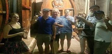 Alsace Full Day Wine Tour from Colmar