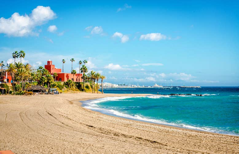 Palm tree on sandy beach of touristic resort city of Benalmádena, cloudy sky over water. Bil Bil Castle on coast skyline. Málaga, Andalusia. Spain