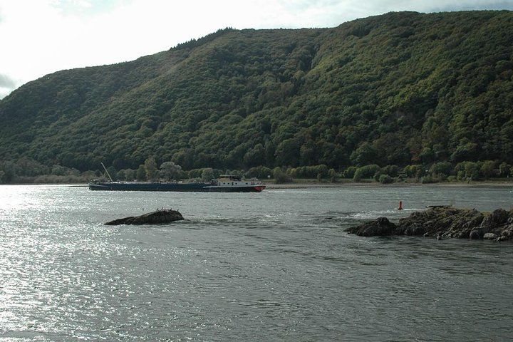  Rhine Valley Trip and Rhine River Cruise from Frankfurt