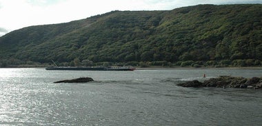  Rhine Valley Trip and Rhine River Cruise from Frankfurt