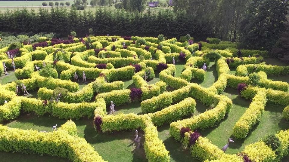 "Beverīnas labirinti" koka skulptūru parks, Brenguļu pagasts, Beverīnas novads, Vidzeme, Latvia