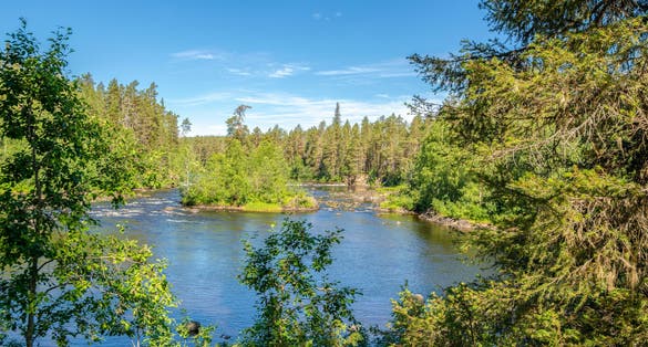 Photo of view to Oulankajoki River from the walking trail, Oulanka National Park, Kuusamo, Finland.