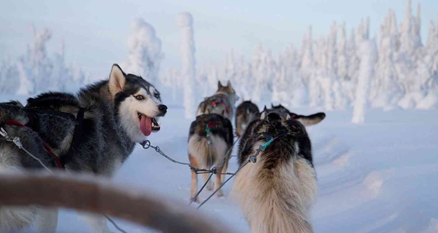 Finnish Wilderness Week