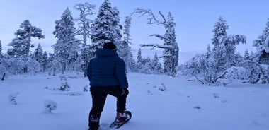 Saariselkä: Snowshoeing Tour in Urho Kekkonen National Park