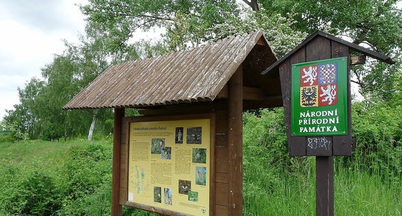 Photo of nature reserve Radouč, Czech Republic.