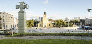 Private Shore Excursion: All-Highlights of Tallinn (Walking and Driving)