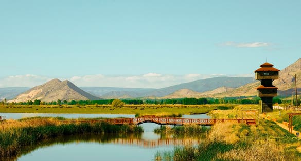 Photo of bird park from tokat , turkey.
