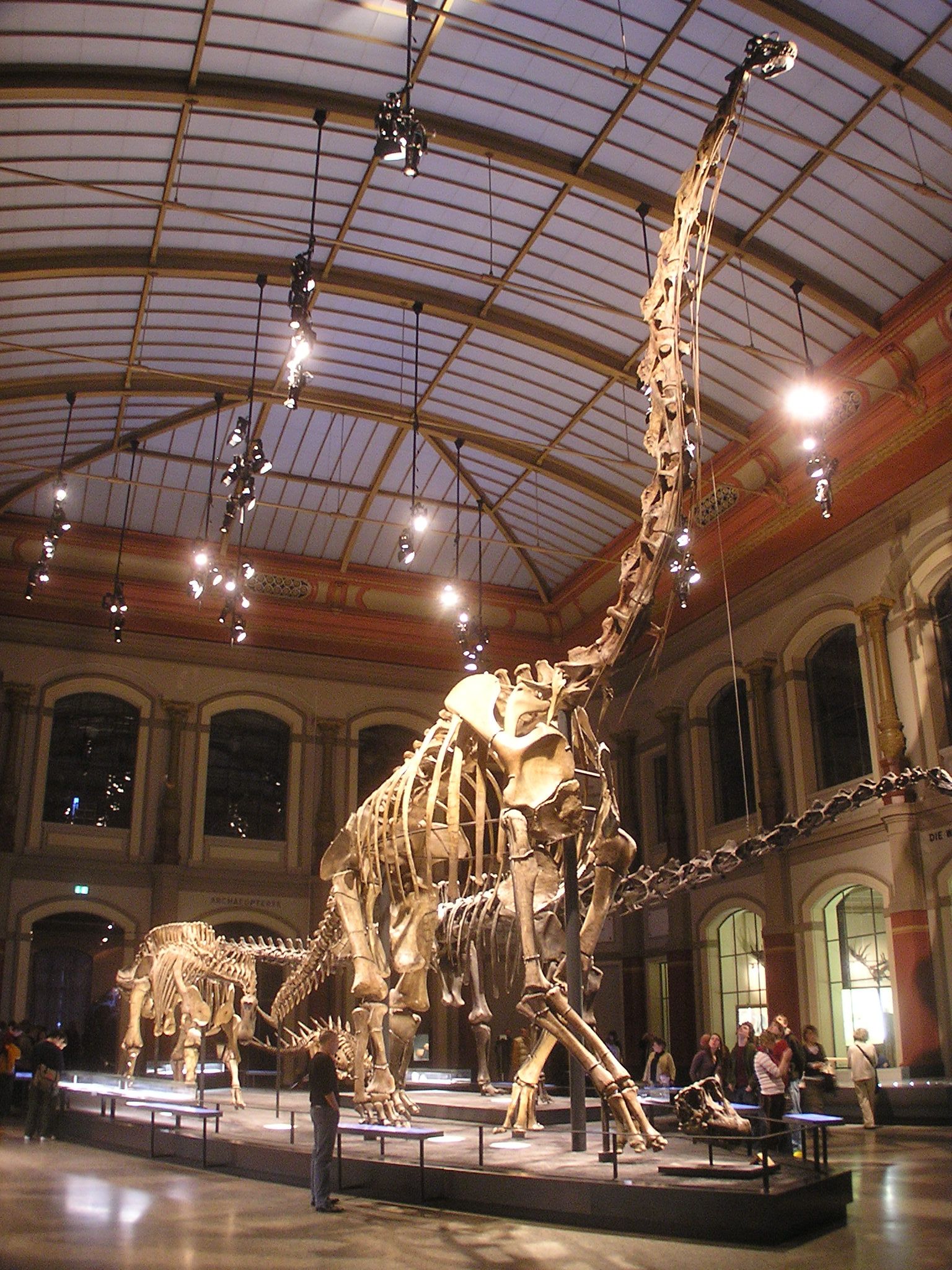 The Dinosaur Hall seen from the entrance, with the skeleton of Giraffatitan (formerly Brachiosaurus) brancai in the center.