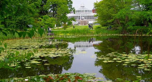 Photo of beautiful University of Copenhagen Botanical Garden, Denmark.
